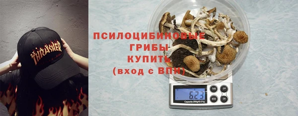 гашик Ладушкин