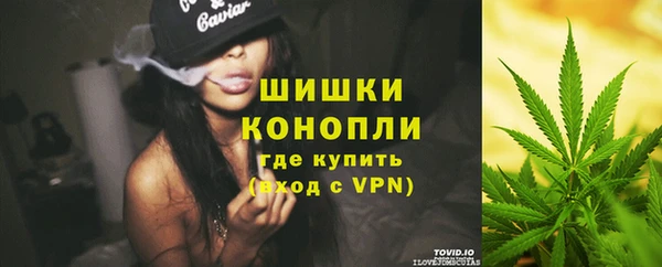 дмт Алзамай