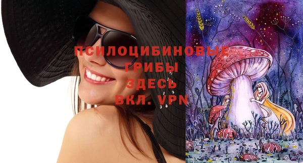 дмт Алзамай