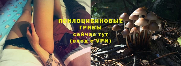 дмт Алзамай